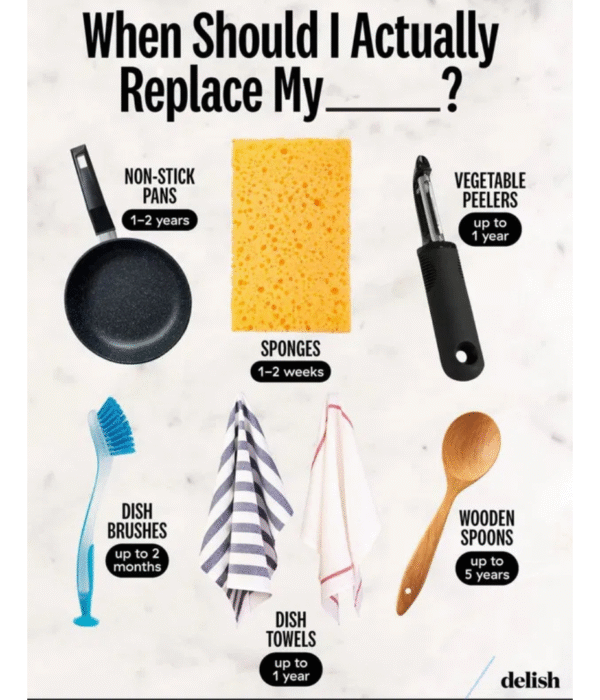 Your Kitchen Might Be Dirtier Than You Think, Here’s the Truth.