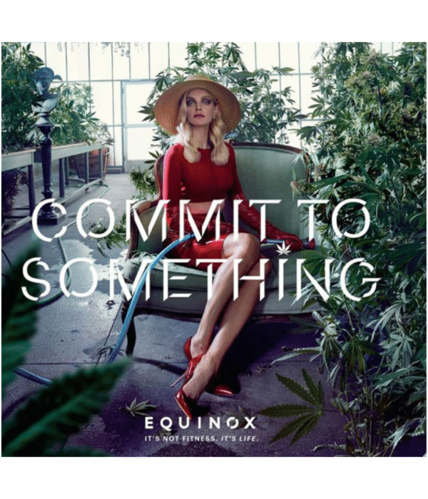 If You’re Going In, Go All In.