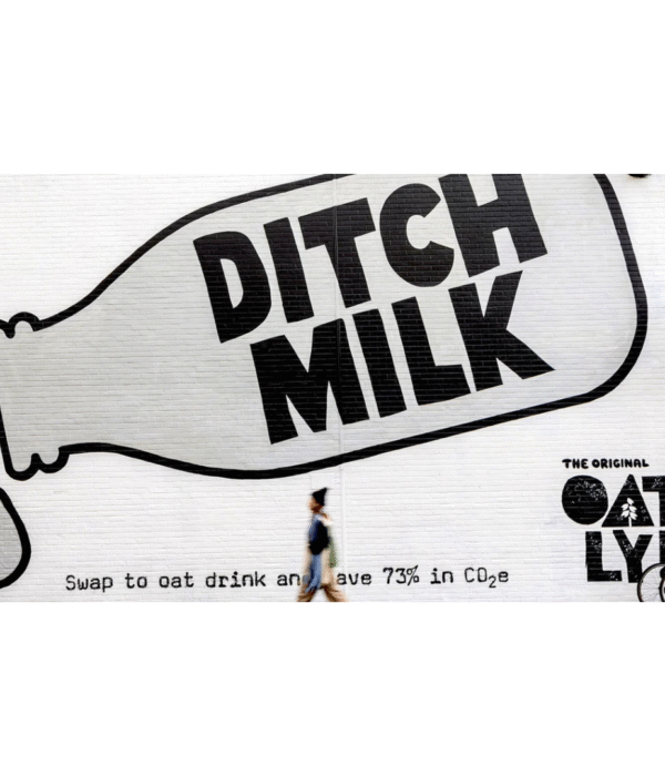 A Wall That Says What Everyone’s Thinking.