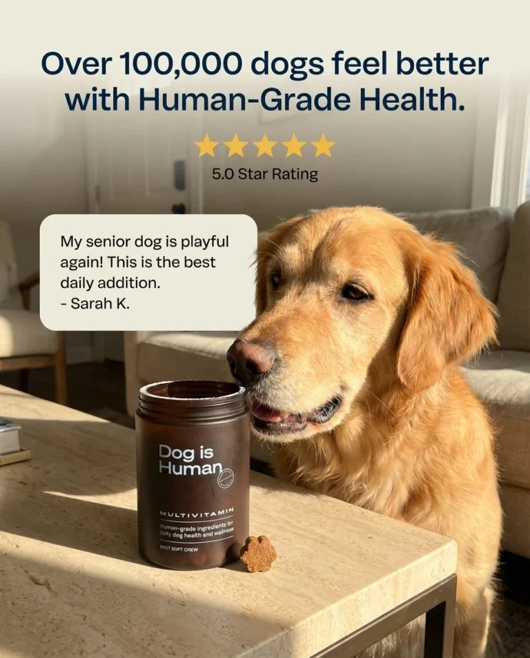 Dog is Human
